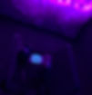 IMG-2911_edited.jpg