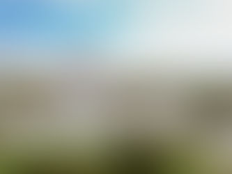 Fruit City, TX - A Hometown Like No Other