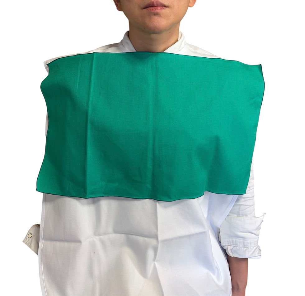 診断様子.jpg