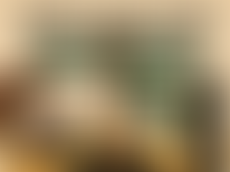 브라질은 남미의 라스베이거스가 될 수 있을까?