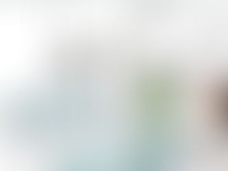 브라질 환율 6을 향해 가나? 브라질 한스 딜리버리