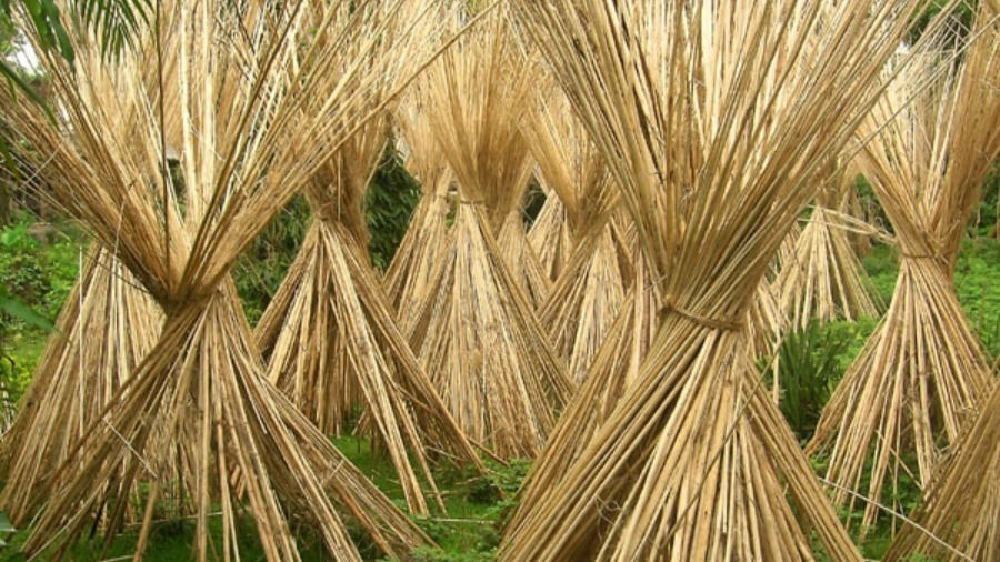 How Much Do You Know About Jute Bag?