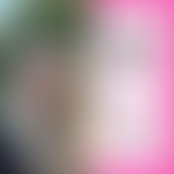 Get to Know Heather Shaw Mandala, MA