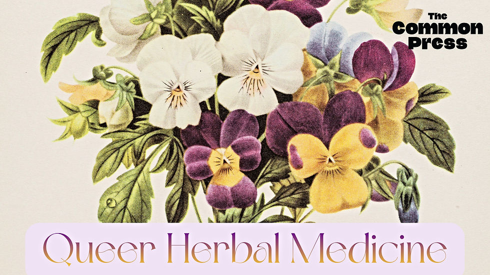 Queer Herbal Medicine: Blind Tea Tasting