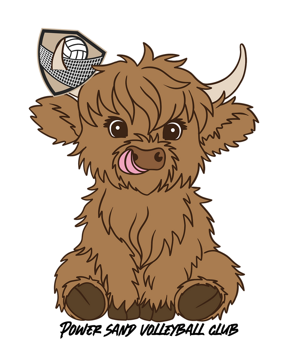 IMG_20250516_153826 (3)