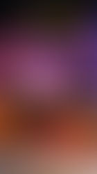 IX Pantalhaç@s transforma Campo Grande em um grande picadeiro de afeto, riso e resistência