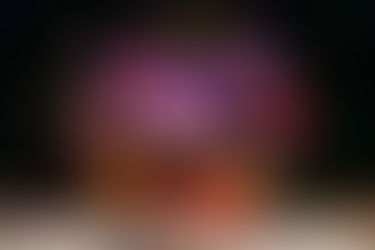 IX Pantalhaç@s transforma Campo Grande em um grande picadeiro de afeto, riso e resistência