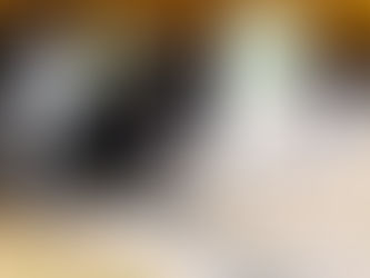 Fecomércio MS faz doação de alimentos a municípios de MS