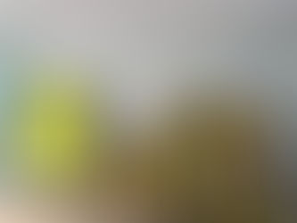 Ação entre Associação de Moradores e Fundação Banco do Brasil visa ajudar mais de 3 mil pessoas nest