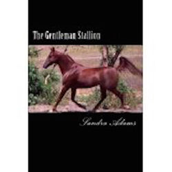 41kJSr5uj2L._AA160_ copy.jpg