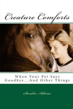 "Creature Comforts..."