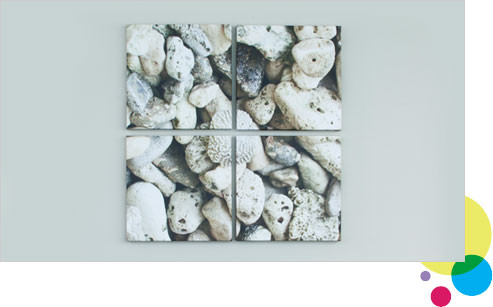Thumbnail: Looking Glass (sun flower) Canvas Print 8"x10"
