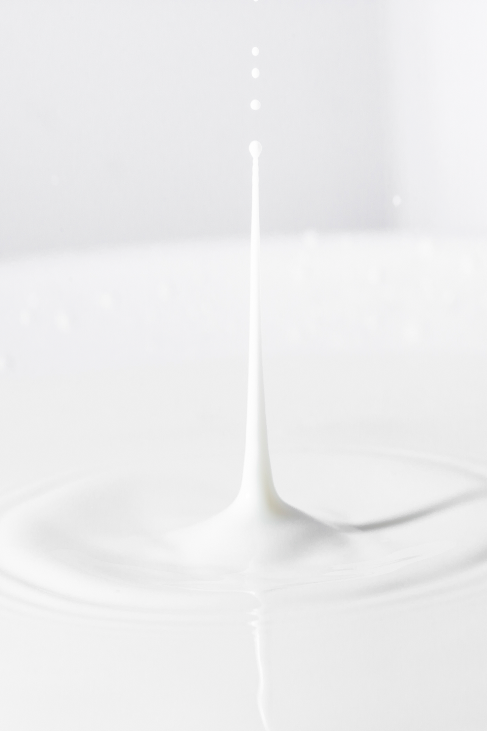 퓨리티어스 홈페이지 연습장-23.png