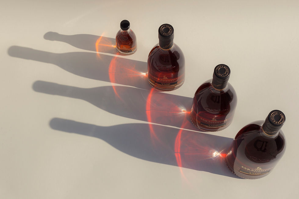 VSOP2.jpg