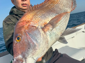 タイラバの沼にハマった人へ。玄界灘の魅力を教えます