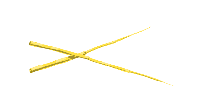 The weapon from my dream