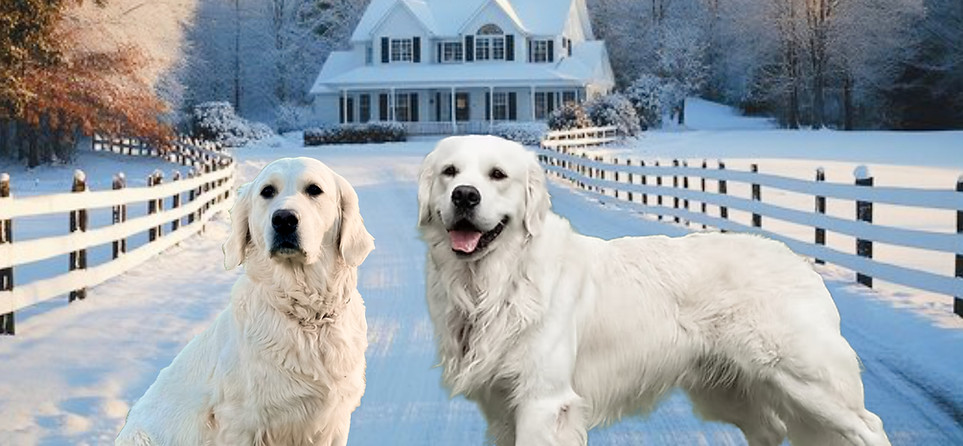 lyric hudson slide.jpg