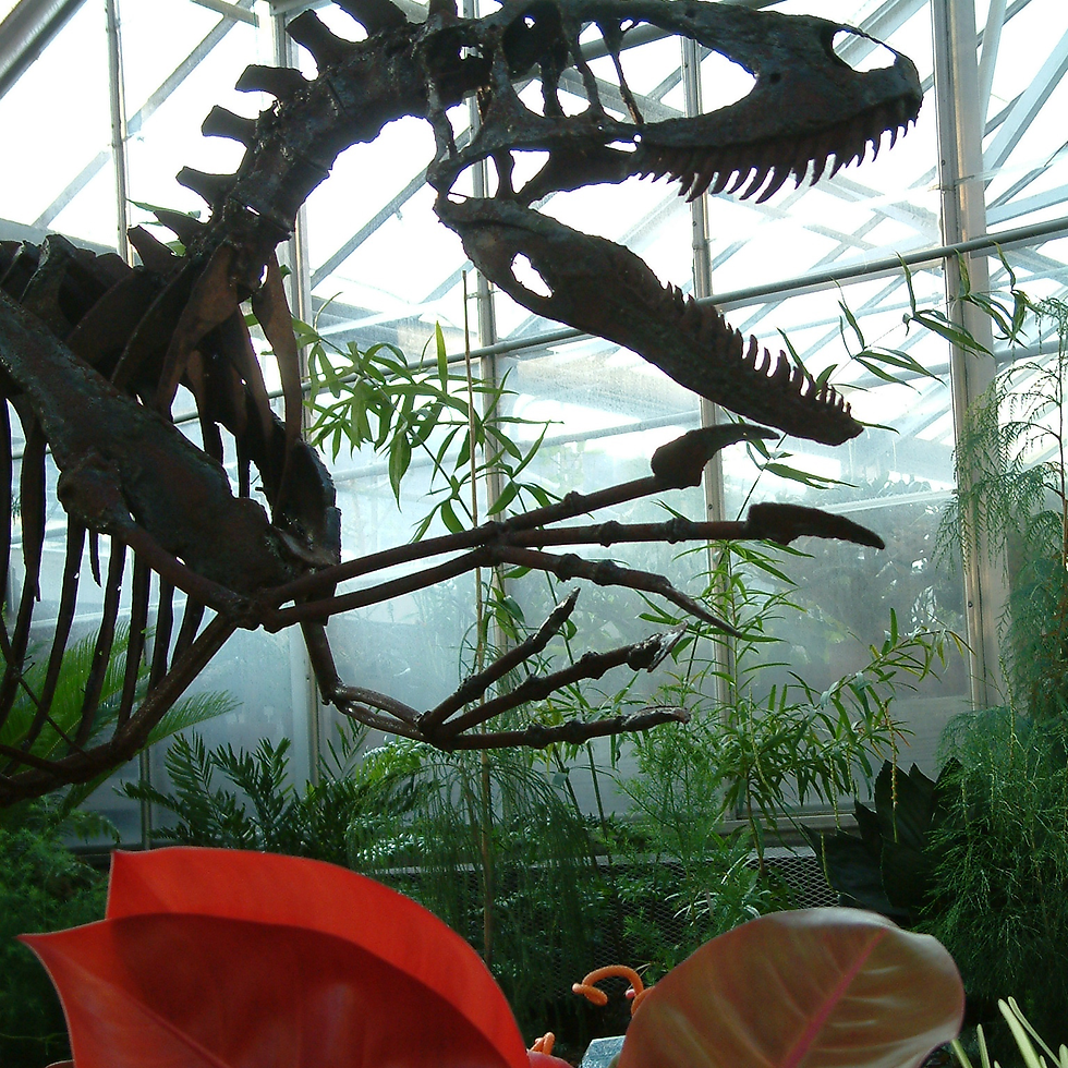 dinosaur fossils in a greenhouse