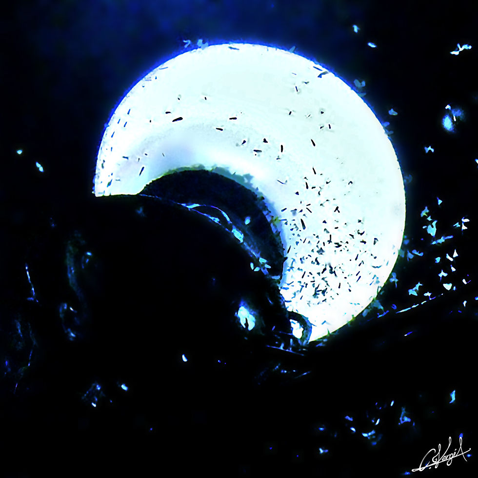 Le Luminaire