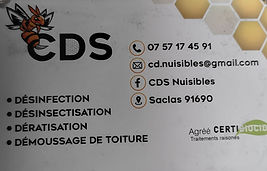 CDS Désinfection Désinsectisation Dératisation Démoussage de toiture