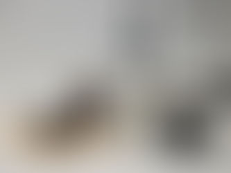 Crafting Perfect Cold Brew at Home: An Introduction to the Shelbru System