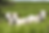 Depositphotos_157744346_XL (1) (1).png