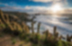 Punta de Lobos
