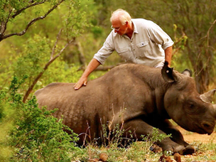 Predictive Analytics: A Powerful Weapon in Wildlife Conservation