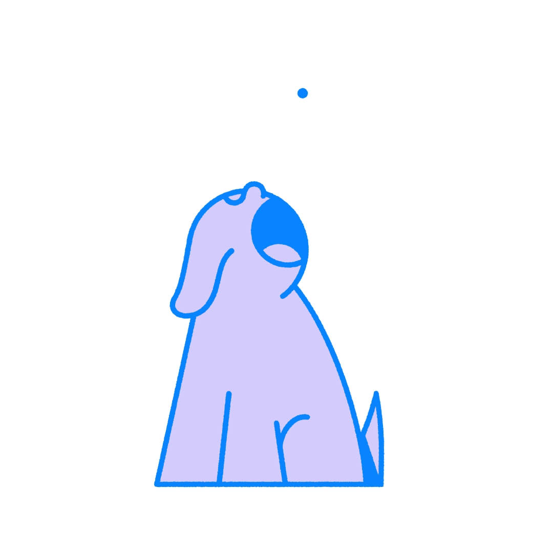 nick olijslager motion design