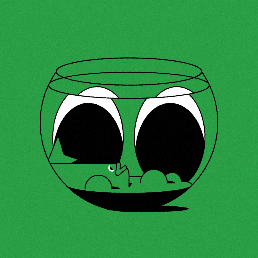 motion design fish