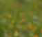 6 (53)_edited.jpg