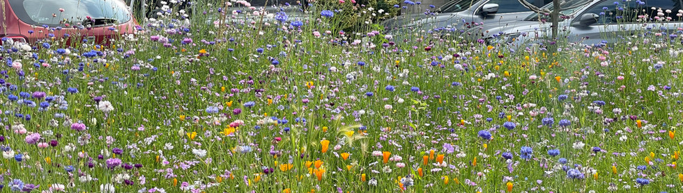 Prairie Fleurie réalisation Elysée 2