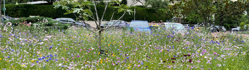 Prairie Fleurie réalisation Elysée 2