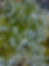20220508_153429_edited.jpg