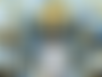 Breaking Through Age Barriers: Launching Your SAP Career at Any Stage of Life - Insights and Strategies