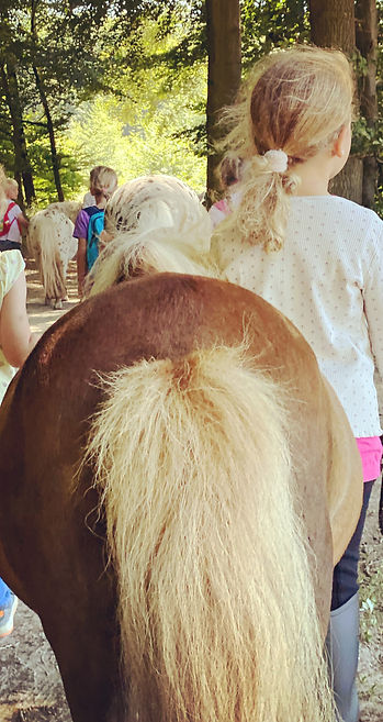 Kinder führen Pony Ponywandern Osnabrück