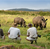 safari - walking safari grumeti.png