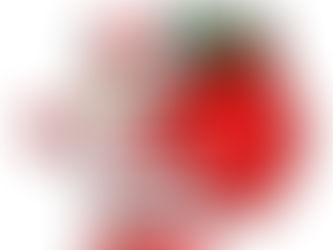 Jingle Bells Song เพลงดังอายุ 100ปี