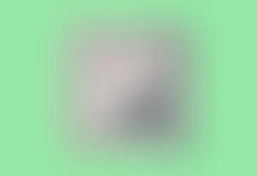 Тім Кук залишає посаду CEO Apple, його змінить Джон Тернус