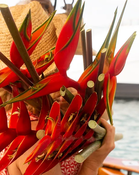 Caribbean flowers