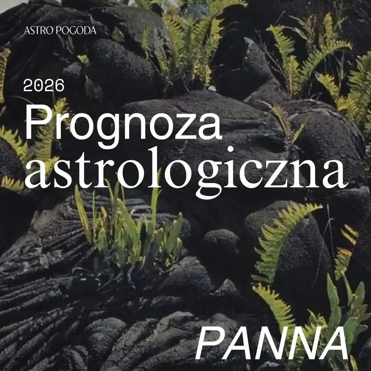 Prognoza dla ascendentu PANNA