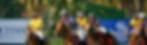 THAI-POLO-OPEN-2019_DJ_0629_edited