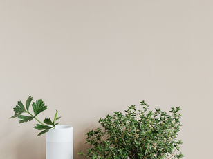 Quels matériaux choisir pour une rénovation durable ?