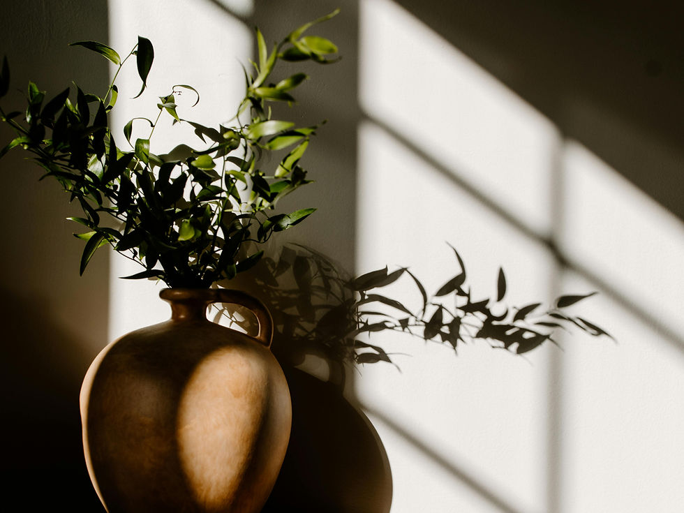 Hélène Szereda Architecte Angers