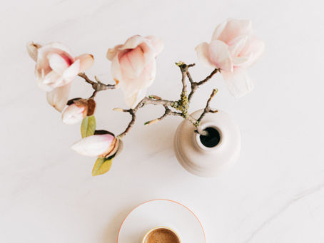 Visite conseil d’architecte à Angers