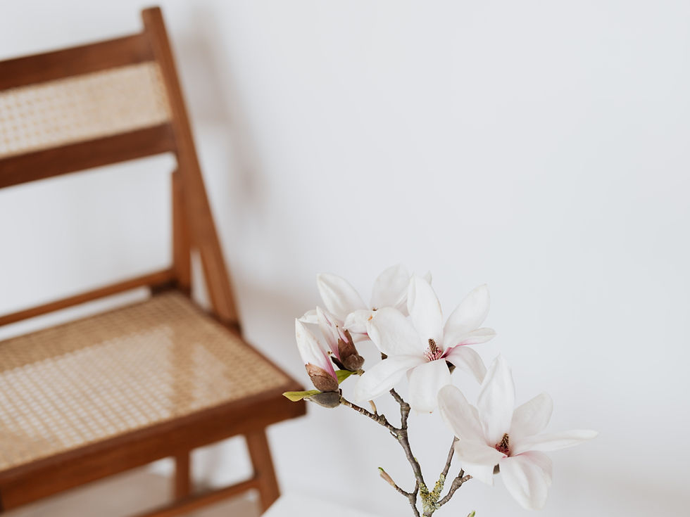 Hélène Szereda Architecte Angers