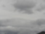 DSC08995.JPG