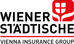 WSTV-Logo