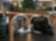 IMG_1532.jpeg