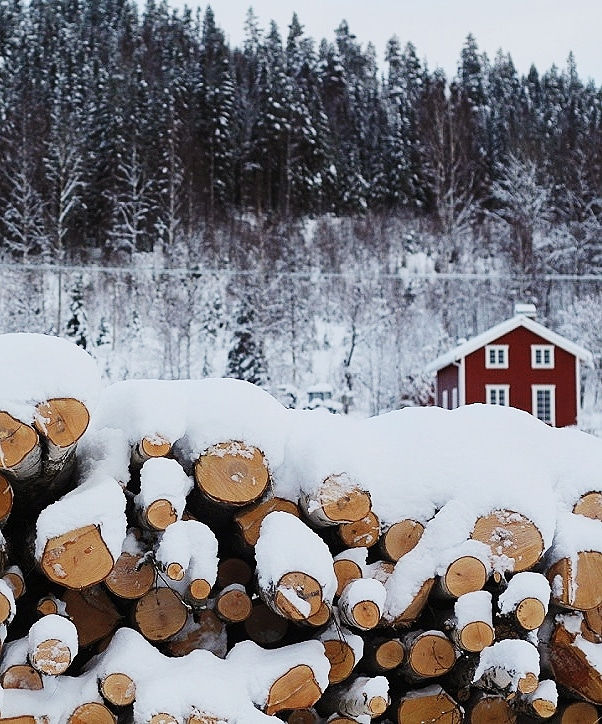 IMG_20210111_214009_021